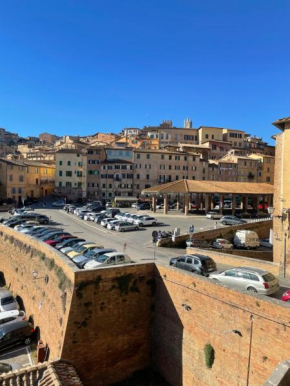 Salicotto 56 Siena
